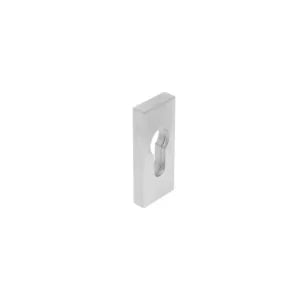 Intersteel RVS geborsteld rechthoekig veiligheidsrozet 10 mm met kerntrekring voor moderne aluminium voordeur