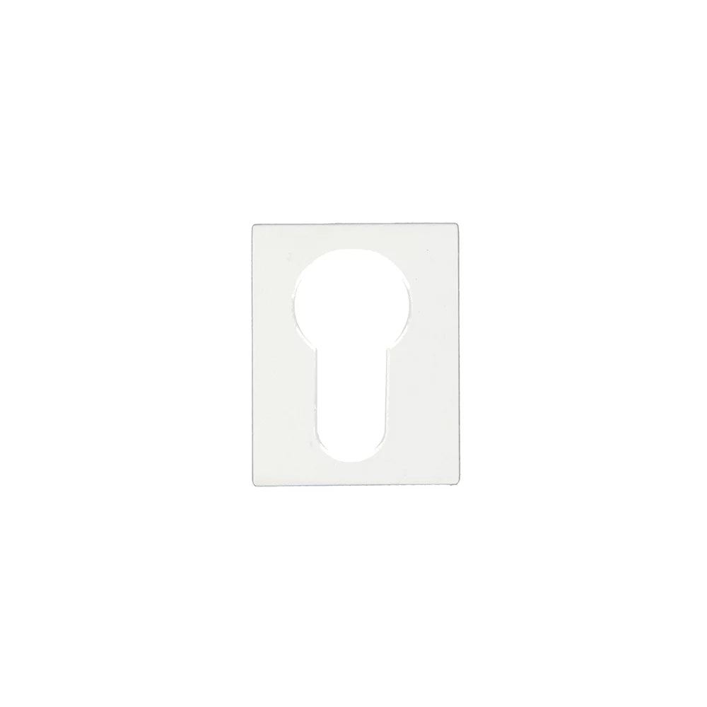 Wit rechthoekig profielcilinder rozet 30x50mm RAL 9010 voor smalle witte deur