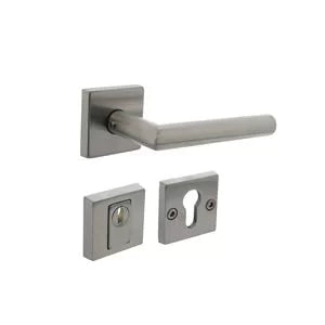 Intersteel complete set achterdeurbeslag op rozet RVS geborsteld met SKG-conforme krukken en cilinderrozetten