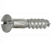 Artitec houtschroef 2,5 x 12 mm in mat chroom, set van 4, vooraanzicht