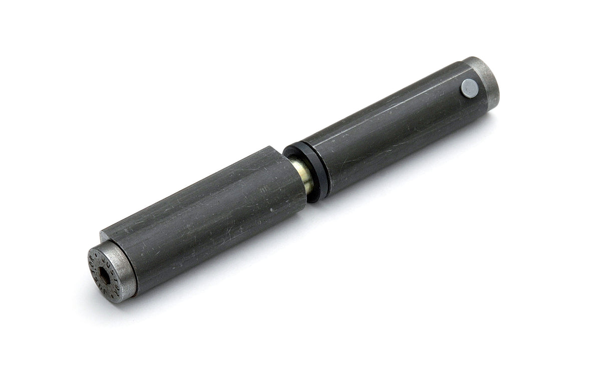 Dulimex DX zelfsluitende aanlaspaumelle met veer 235 x 22 mm blank staal