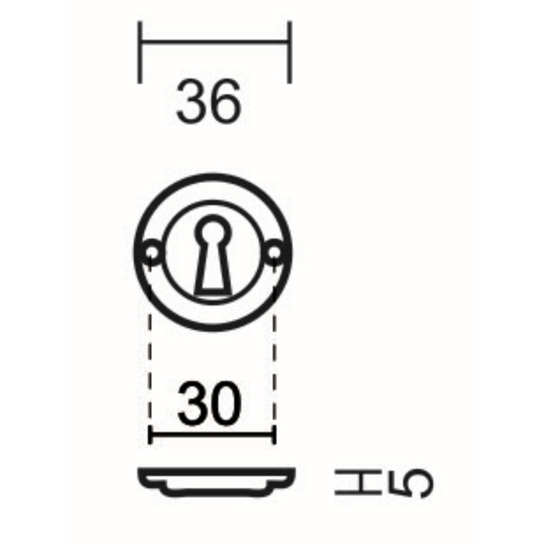 HDD Pro sleutelrozet inox look Ø36 mm – detail