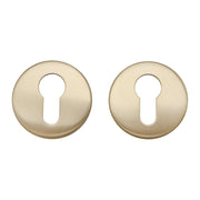Griff Meister Cilinderrozet 53mm 6mm Dik Champagne PVD