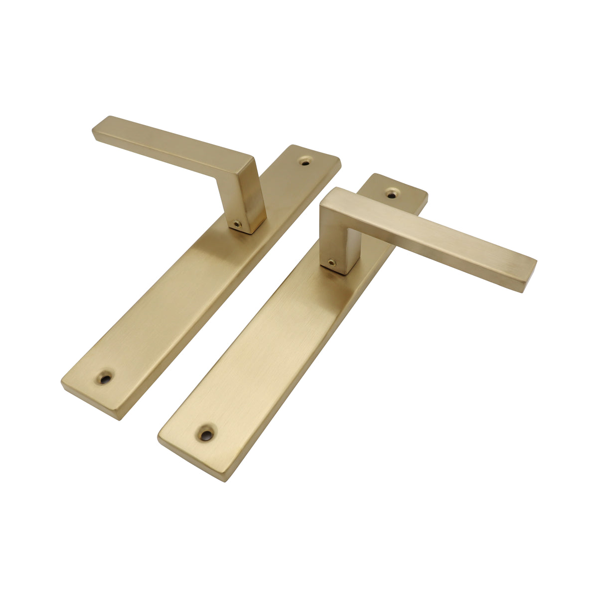 Griff Meister deurkruk Fortis Champagne PVD op schild Blind