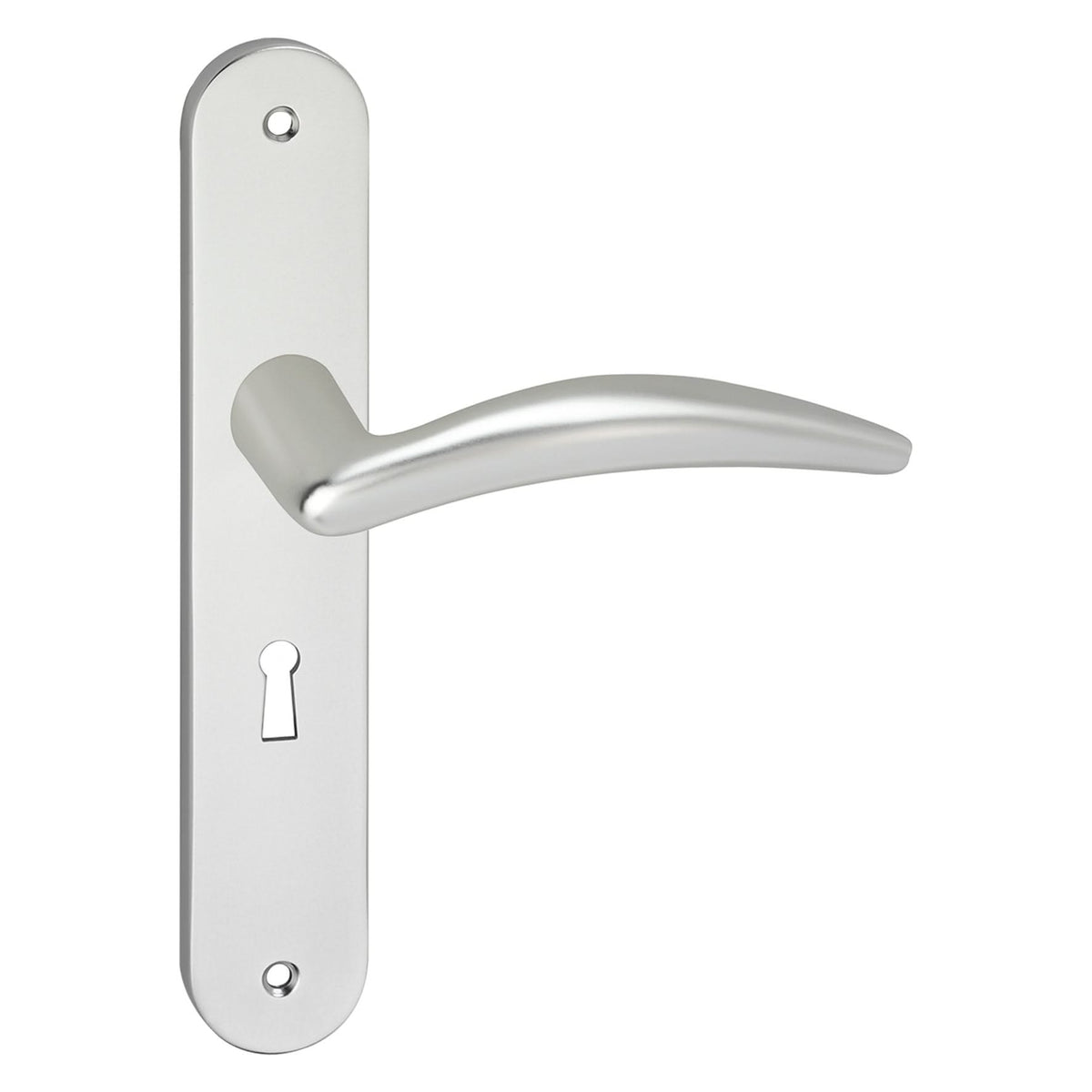 Impresso Windsor Aluminium op ovaal schild met schroeven – schildzijde