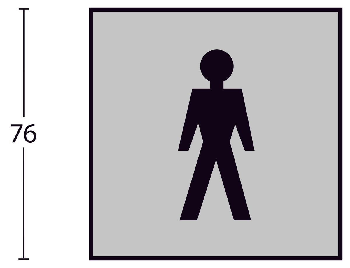 Intersteel pictogram herentoilet rvs geborsteld – detail