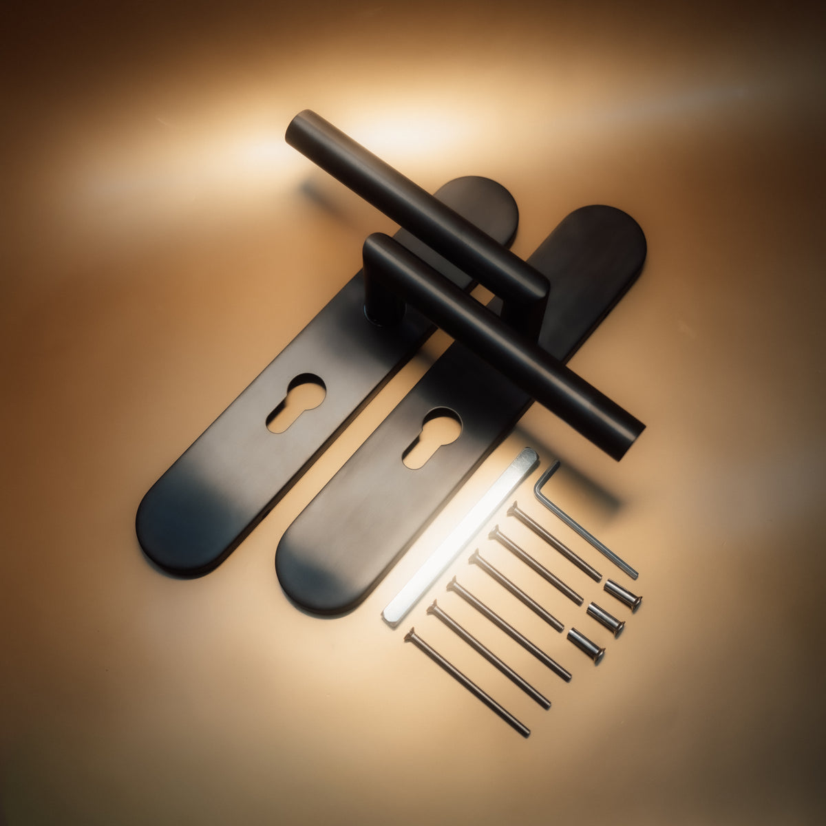 Griff Meister Deurkruk Cornisa Gunmetal Op ovaal schild PC55 – sfeerfoto