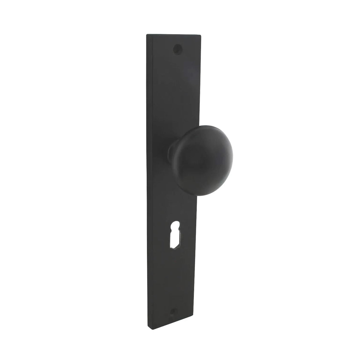 Intersteel knop op schild met sleutelgat SL56 mat zwart vooraanzicht