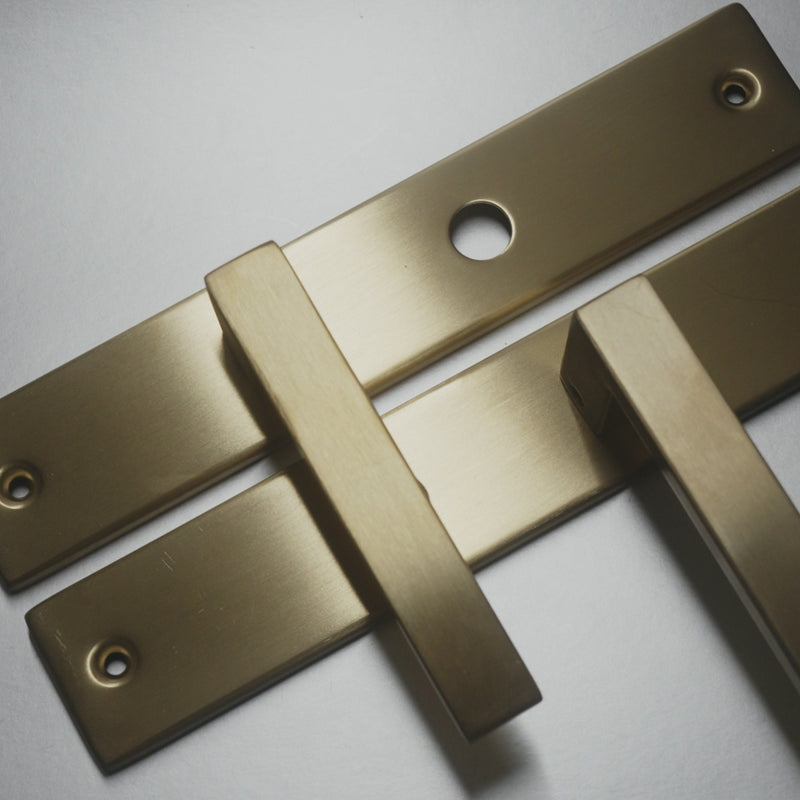 Griff Meister Deurkruk Fortis Champagne PVD Op schild WC63/8 Toilet – productvideo
